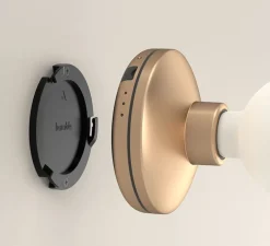 Applique de salle de bain, Bee, or givré, IP65, Ø12cm, H18cm - Humble