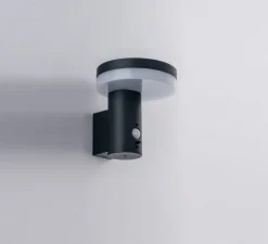 Applique d'extérieur solaire, Enya, anthracite, IP44, LED, 4000K, 600 lm, Ø15,7cm, H16,2cm - Nedgis