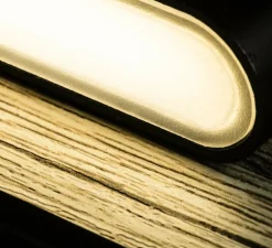 Applique murale, MOOD, noir, L13cm, H37cm - Faro