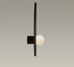 Applique murale, Trip simple, noir, Ø30cm, P14,5cm - LEDs C4