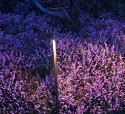 Borne, Mini Mini, à piquer, browntech, IP65, LED, 2700K, 100 lm, L10cm, H55cm - Inverlight