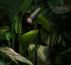 Borne, Palosanto B 5/83, noir, IP65, LED, dim, 2700K, Ø5,2cm, H83cm - Marset