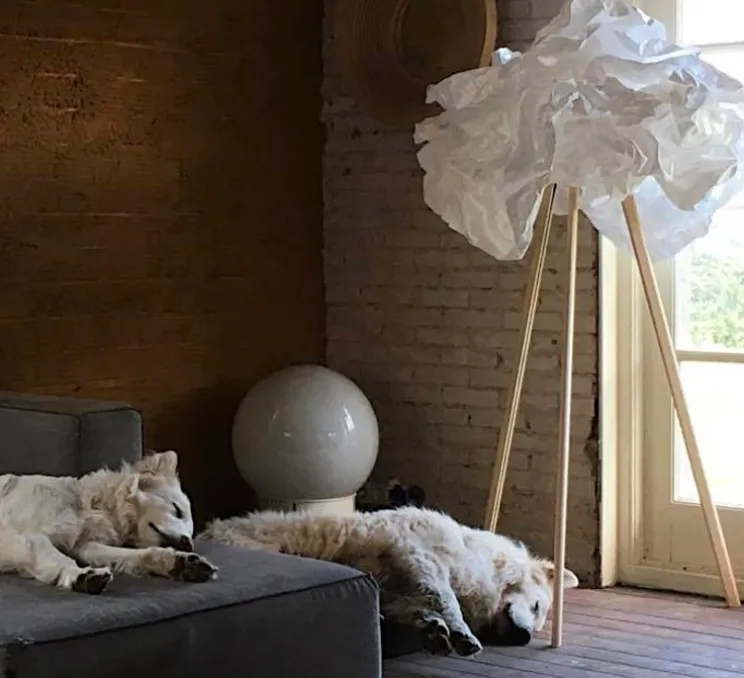 Lampadaire, Cloud, blanc, pied bois, Ø90cm, H159cm - Proplamp