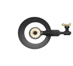 Lampe à poser, Bolt10, noir ombré, LED, dim, 2700K, 640 lm, L10cm, H59,6cm - Tonone