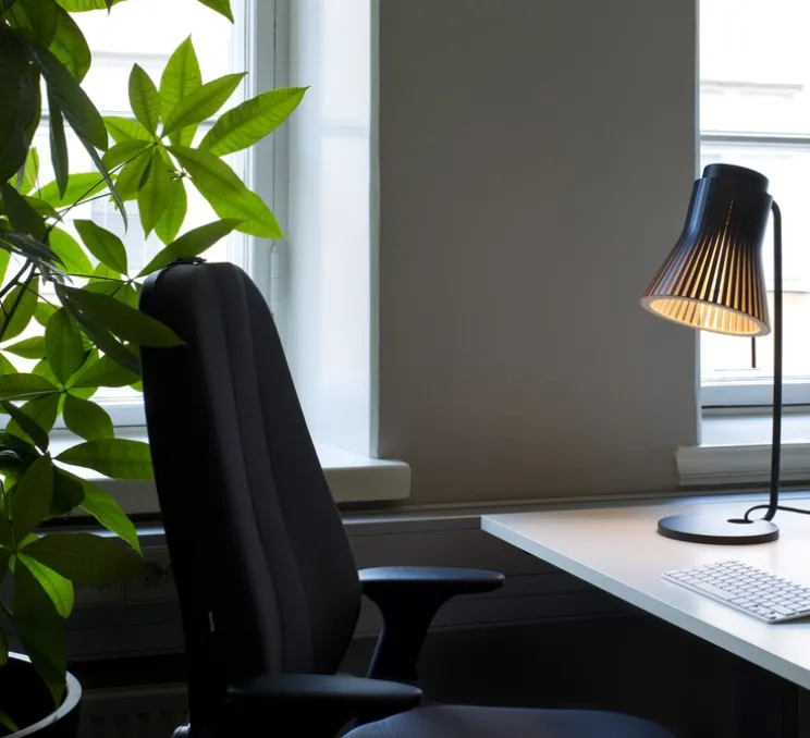 Lampe à poser, Petite 4620, noir, LED, L20cm, H56cm - Secto Design