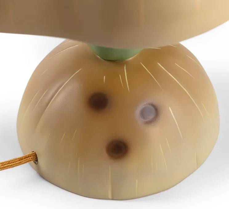 Lampe à poser, Pumpkin, Vitamin, vert, Ø27cm, H42cm - Seletti