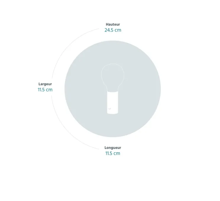 Lampe, Baladeuse, APLÔ, carbone, IP54, 3000 à 6000K, 70lm, Ø11.5cm, H24.5cm - FERMOB