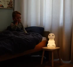 Lampe, Baladeuse, First Light Giants Dino, Rena Tyrannosaurus Rex, blanc, LED, dim, 2 700K, 100lm, L24cm, H14cm - Mr Maria