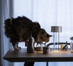 Lampe, Baladeuse, Fleur, blanc, LED, dim, 3000K, 188 lm, Ø11cm, H24cm - Foscarini