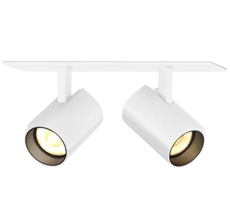 Plafonnier, Ceno 2.0, blanc, LED, 2700K, 2x440lm, L15,4cm, H4cm - Wever & Ducré