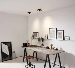 Plafonnier, Ceno 2.0, noir, LED, 2700K, 2x440lm, L27cm, H8,1cm - Wever&Ducré