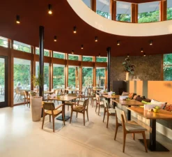 Plafonnier, Lotis tubed surface, noir et or, Ø8,5cm, H13cm - Modular