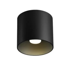 Plafonnier, Ray 1.0, noir, LED, dim, 2000-3000K, 465 lm, Ø11,4cm, H10cm - Wever&Ducré