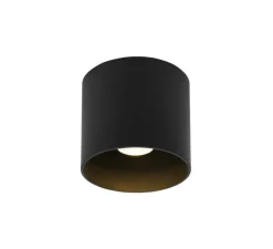 Plafonnier, Ray outdoor 1.0, noir, IP65, LED, dim, 2700k, 525 lm, Ø11,4cm, H10cm - Wever&Ducré