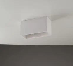 Plafonnier, Vertbois, plâtre, prêt à peindre, Charlotte Double, blanc, L24cm, H13cm - Nedgis