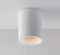 Plafonnier, Vertbois, plâtre, prêt à peindre, Isaline, Simple, blanc, Ø11cm, H13,5cm - Nedgis