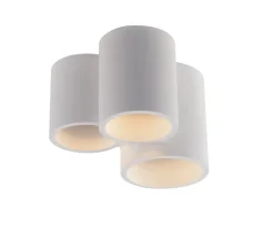 Plafonnier, Vertbois, plâtre, prêt à peindre, Isaline, Triple, blanc, Ø22cm, H14cm - Nedgis