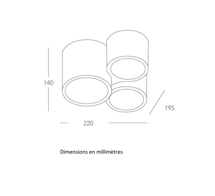 Plafonnier, Vertbois, plâtre, prêt à peindre, Isaline, Triple, blanc, Ø22cm, H14cm - Nedgis