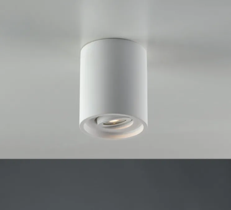 Plafonnier, Vertbois, plâtre, prêt à peindre, Zoé, Tube, Orientable, blanc, Ø13,4cm, H16cm - Nedgis