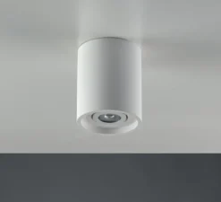 Plafonnier, Vertbois, plâtre, prêt à peindre, Zoé, Tube, Orientable, blanc, Ø13,4cm, H16cm - Nedgis