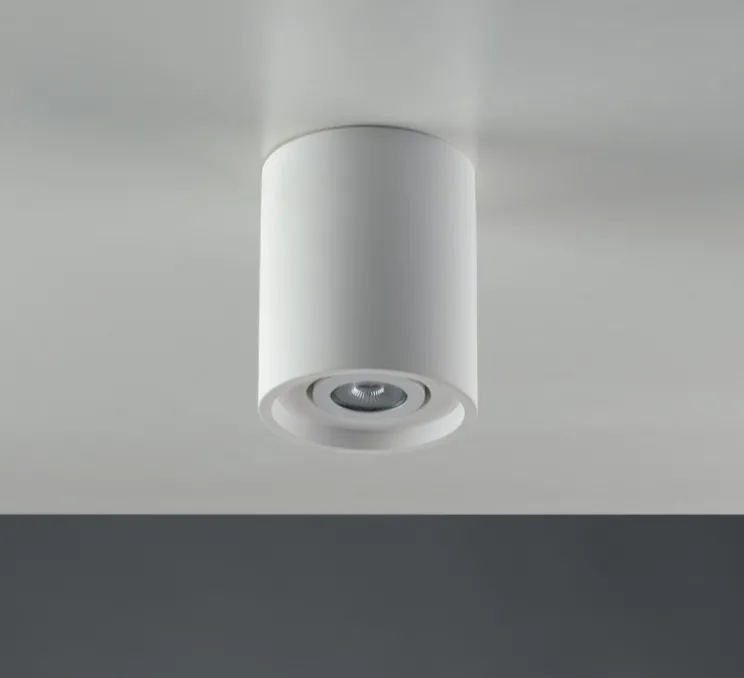 Plafonnier, Vertbois, plâtre, prêt à peindre, Zoé, Tube, Orientable, blanc, Ø13,4cm, H16cm - Nedgis