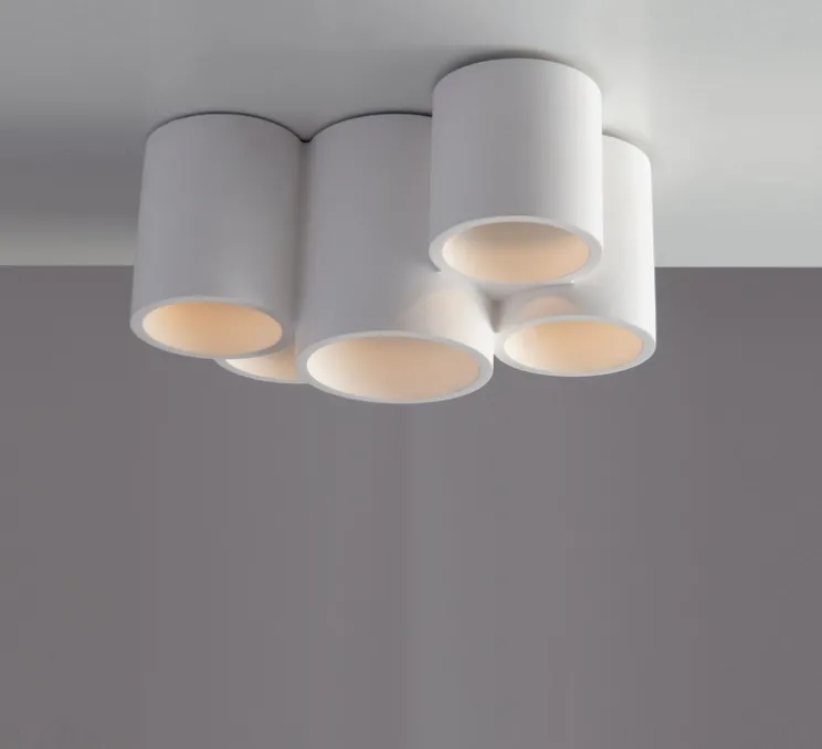 Plafonnier, Vertbois, plâtre, prêt à peindre, Isaline, Cinq, blanc, Ø29,5cm, H14cm - Nedgis