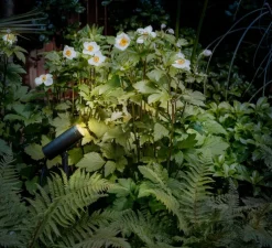 Spot, d’extérieur, Myos, à piquer, noir texturé, IP65, LED, dim, 3000K, 312 lm, Ø4cm, H15cm - Astro