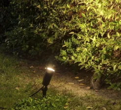 Spot extérieur à piquer, Toni, noir, L8,4cm, H17cm, IP65 - Faro