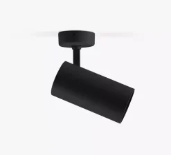 Spot, Fost Surface, noir, LED, dim, DALI, 2700k, 42W, 38°, CRI>97, 2958 lm, Ø9cm, H18cm - Faro