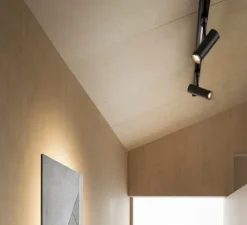 Spot pour rail, Capri, noir, LED, dim casambi, 3000K, 1780 lm, Ø7,3cm, H17cm - Ilti Luce