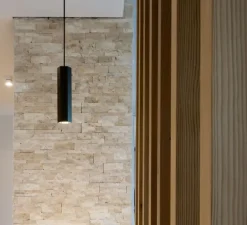 Suspension, Hexo 3.0 PAR16, noir, Ø7,7cm, H30cm - Wever&Ducré