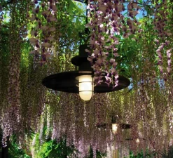 Suspension, Polo, anthracite, LED, Ø48cm, H40cm - MARTINELLI LUCE