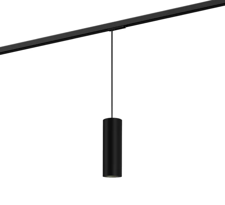 Suspension pour rail, Ray 2.0 PAR16, noir, Ø6,7cm, H20cm - Wever&Ducré