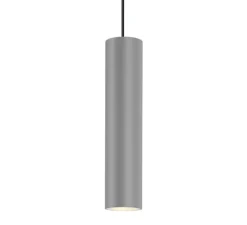 Suspension, Ray 3.0 PAR16 sans rosace, aluminium brossé, Ø6,7cm, H30cm - Wever&Ducré