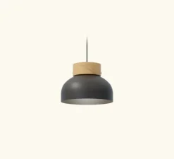 Suspension, Reiko flat, noir mat, Ø21cm, H15cm - Robin